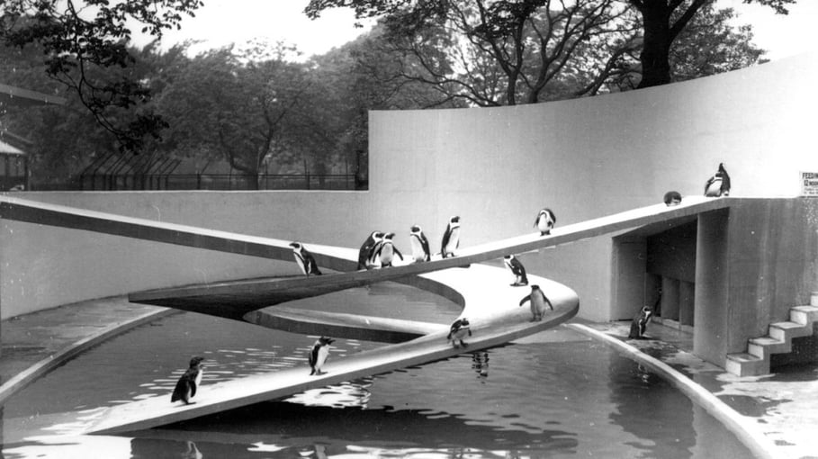 London’s Penguin Pool